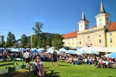 nutz-waldfest-teg-meinteg-1260x840